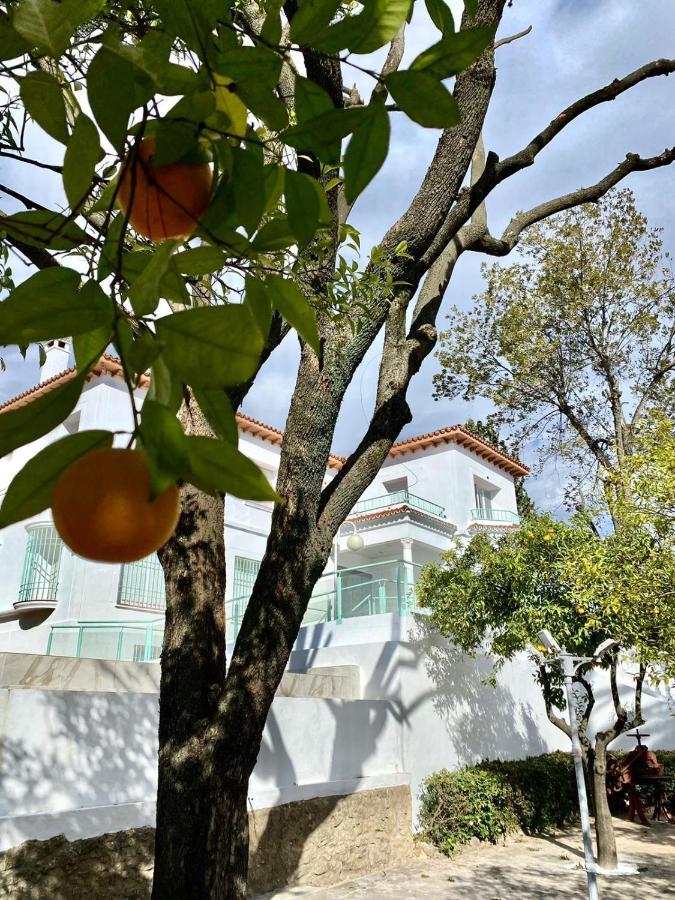 Los Almendros - Free Parking Cordoba Ngoại thất bức ảnh